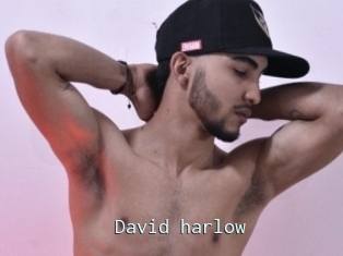 David_harlow