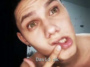 David_sk