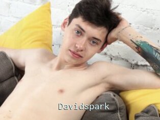 Davidspark