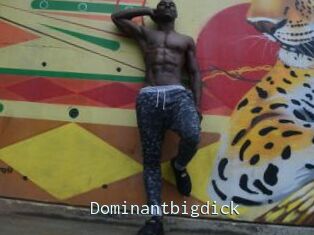 Dominantbigdick