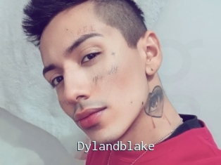 Dylandblake