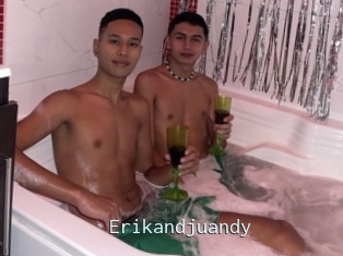 Erikandjuandy