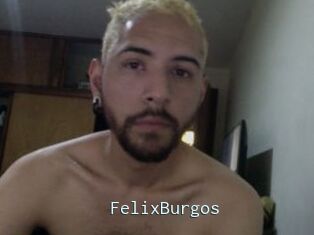 FelixBurgos