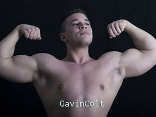 GavinColt