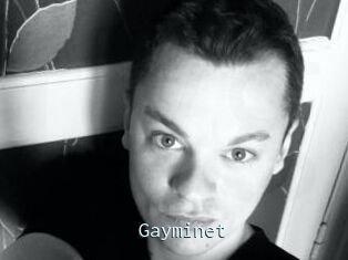 Gayminet