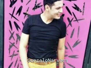 GonzaloNarvaes