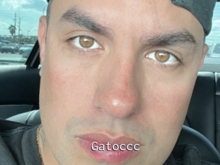 Gatoccc