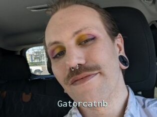 Gatorcatnb