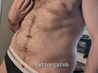 Gattorcatnb