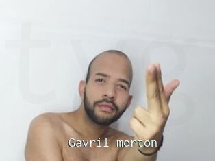 Gavril_morton