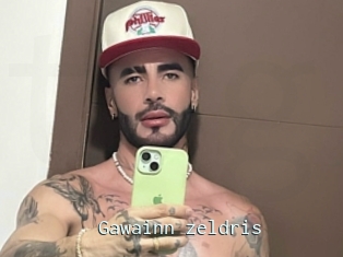 Gawainn_zeldris