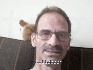 Geilebeer