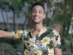 Geokeys
