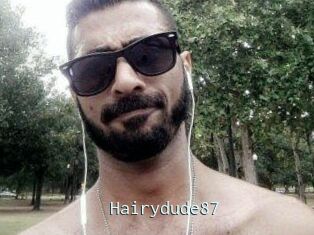 Hairydude87