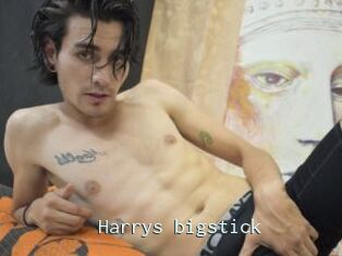 Harrys_bigstick