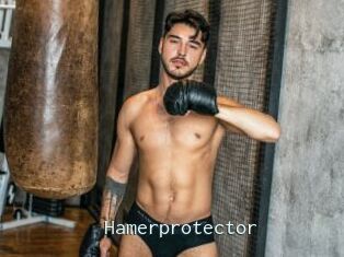 Hamerprotector