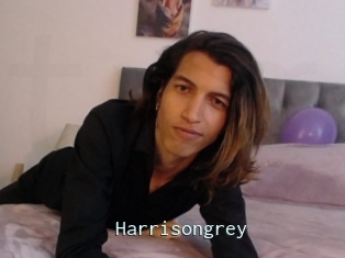 Harrisongrey