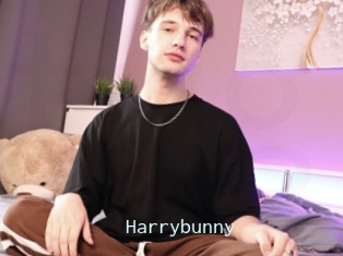 Harrybunny