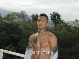 Harrymera