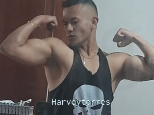 Harveytorres