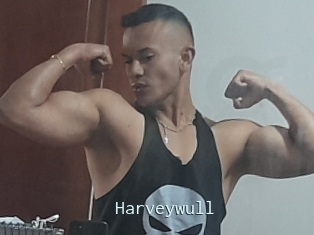 Harveywull