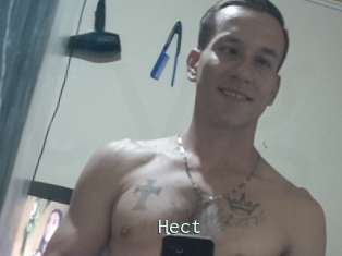 Hect