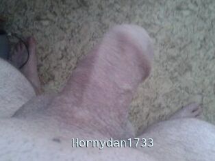 Hornydan1733