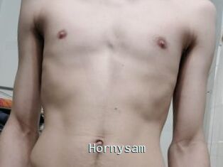 Hornysam