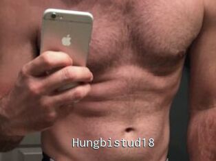Hungbistud18