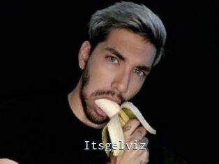 Itsgelviz