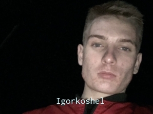 Igorkoshel
