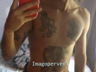 Imagopervert