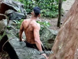 JAK_BROWNN
