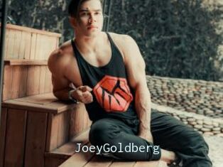 JoeyGoldberg