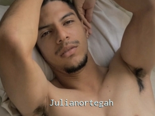 Julianortegah