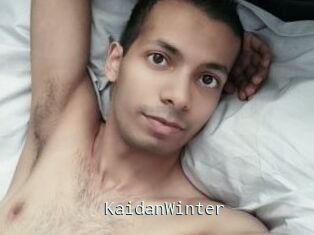 KaidanWinter