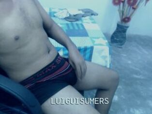 LUIGUISUMERS