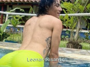 Leonardosantos