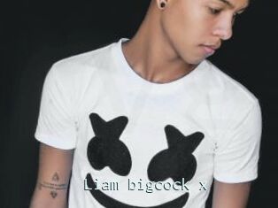 Liam_bigcock_x