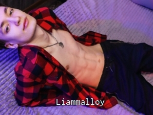 Liammalloy