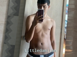 Littledamiian
