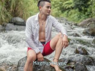 MagnusWayne