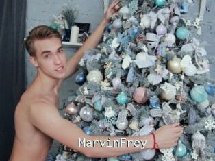 MarvinFrey