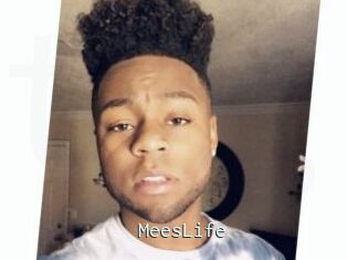 MeesLife