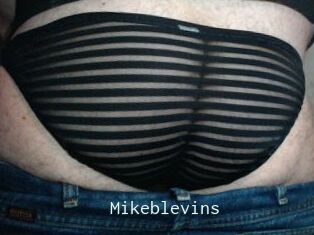 Mikeblevins