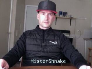 MisterShnake