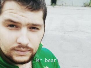 Mr_bear1