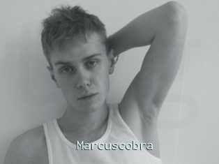 Marcuscobra