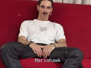 Mariohawk