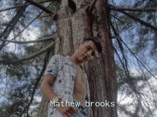 Mathew_brooks